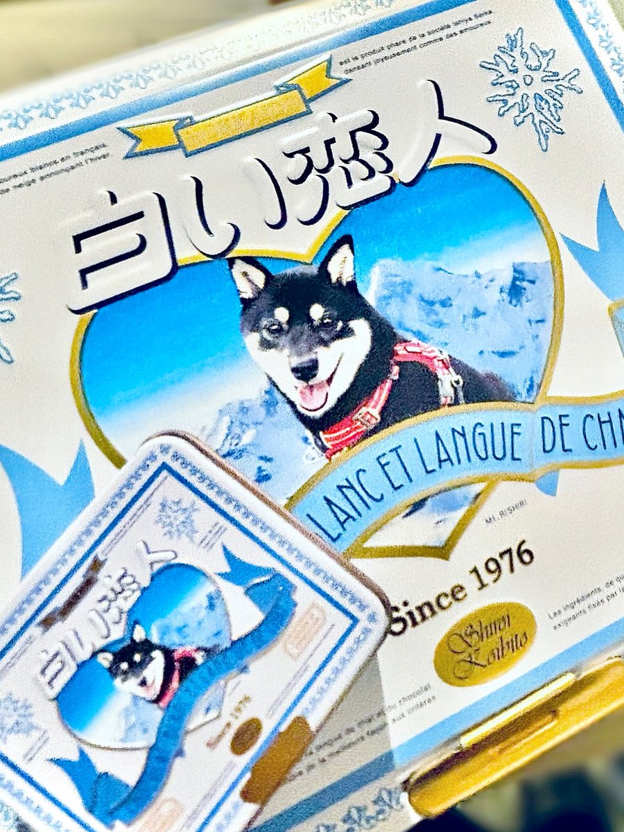 9011hako's tweet photo. かわいすぎてずっと見てる https://t.co/hg4JhDidpL