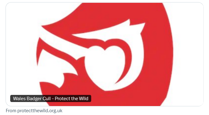 AmeleaTeckel's tweet photo. Reform aligns with Plaid Cymru & the Tories for pointless #wildlife slaughter in Wales! 😱
‼️#stopthecull‼️
👉 https://t.co/7fRraYo6Wv ✏️
#badgermonday🦡 https://t.co/w4vWRfpBup