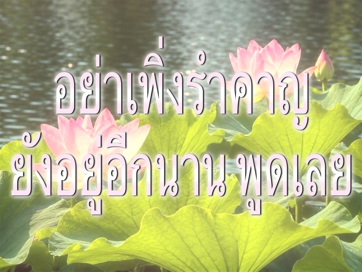_dreaxmm's tweet photo. https://t.co/e7oWfzDbuT