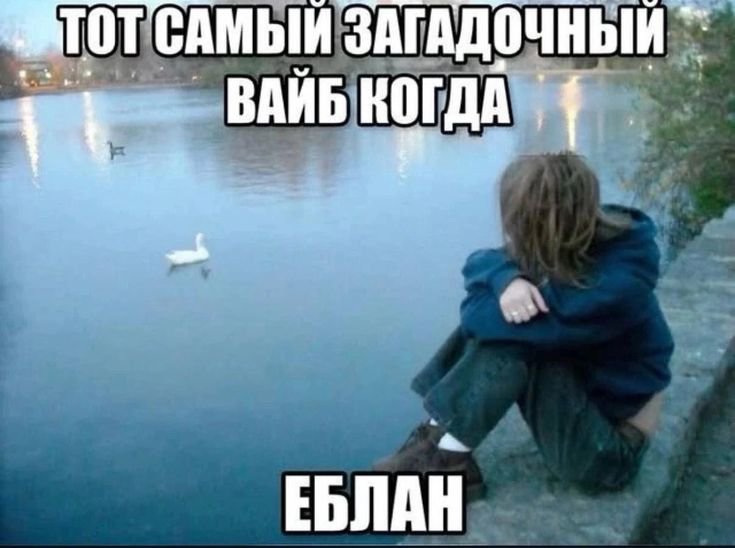 varriisaa's tweet photo. https://t.co/Bg803rqOOW