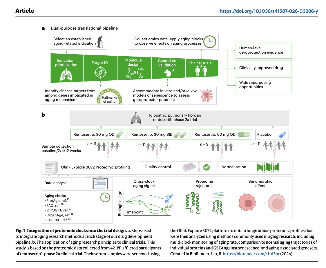 biogerontology's tweet photo. My dear friends, I am happy to report the publication of the most important paper in my life to date (we have several great papers coming out but this is very special). Tomorrow, I will present this paper for the first time at the Nature AI Healthcare in Paris and will post a longer post on this story and its broader implications for how to conduct clinical trials. Please read it and comment on it. 
Many thanks to the great co-authors of the study and everyone who contributed. Many thanks to the many reviewers (friendly and unfriendly) for spending so much time and helping make it better. 
Link in the comments.