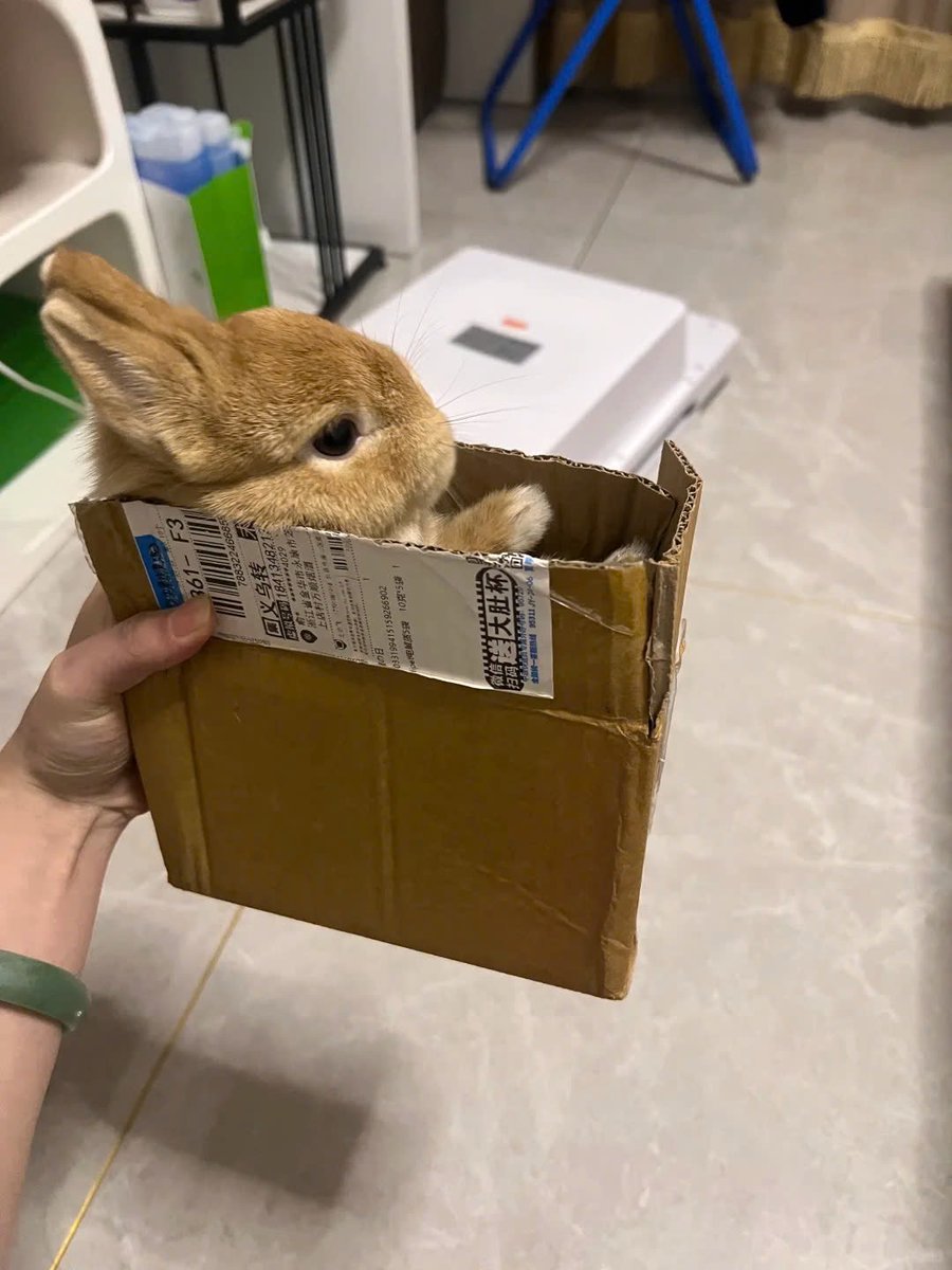 ShouldHaveRabit's tweet photo. Delivery confirmed. https://t.co/tOQfuMMMUg