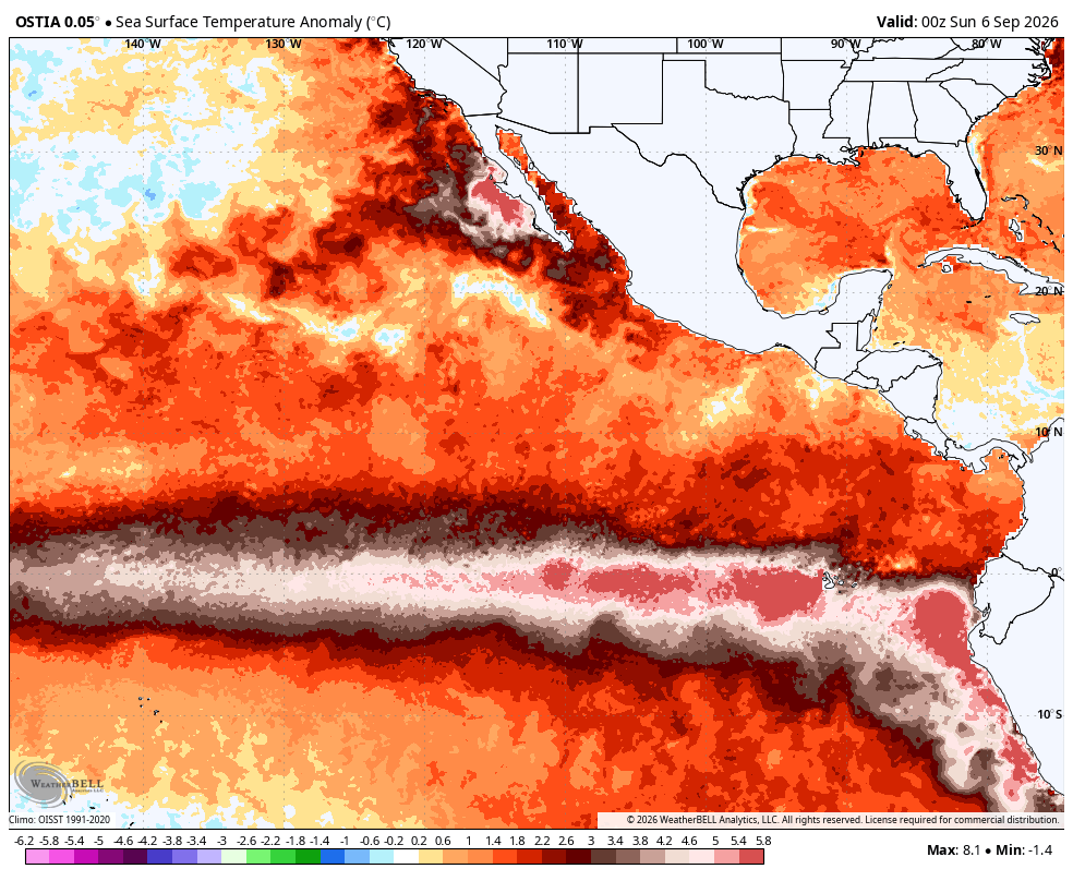 Weatherunited1's tweet photo. This is now getting absurdly serious with the El Niño. The latest OSTIA SST data now has a peak anomaly of 8.1C above normal, with Peru reporting a peak SSTA of 9.5C. What's more concerning is that these anomalies are only going to increase over the next 10+ days, as the latest ECMWF forecast is predicting a peak of 12.5C right off the coast of Peru.

As I said earlier, this is setting up to be the most impactful El Niño since record-keeping began in 1950. Also can't wait for the new C3S model ensemble to come out by around September 10th, as I'm sure the wet signal across the west & south will be bonkers.