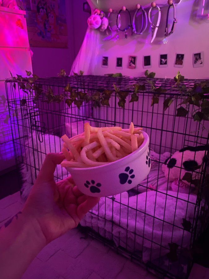 puddingpuppydog's tweet photo. all I need in life is to be curled up in my puppy cage with snacks with owner on the other side of the room playing games. He comes over throughout the day to pet me and give puppy an oral treat 🥺🐾
#puppygirl #nsfwtwt #nsfw #petplay https://t.co/moWPKwRjRD