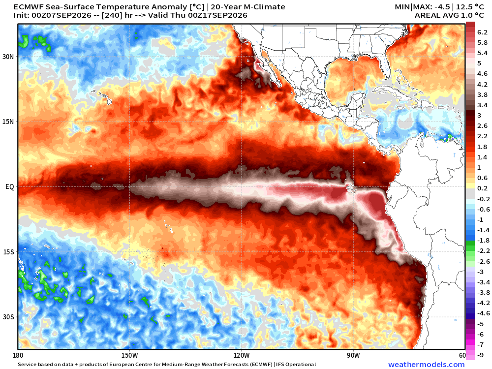 Weatherunited1's tweet photo. This is now getting absurdly serious with the El Niño. The latest OSTIA SST data now has a peak anomaly of 8.1C above normal, with Peru reporting a peak SSTA of 9.5C. What's more concerning is that these anomalies are only going to increase over the next 10+ days, as the latest ECMWF forecast is predicting a peak of 12.5C right off the coast of Peru.

As I said earlier, this is setting up to be the most impactful El Niño since record-keeping began in 1950. Also can't wait for the new C3S model ensemble to come out by around September 10th, as I'm sure the wet signal across the west & south will be bonkers.