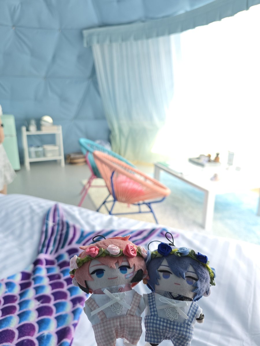 azumiimoco's tweet photo. つぎグランピング行く時はつえたうん全員連れていく！！！！！(毎年行ってる過去の写真) https://t.co/irQVKV3nri