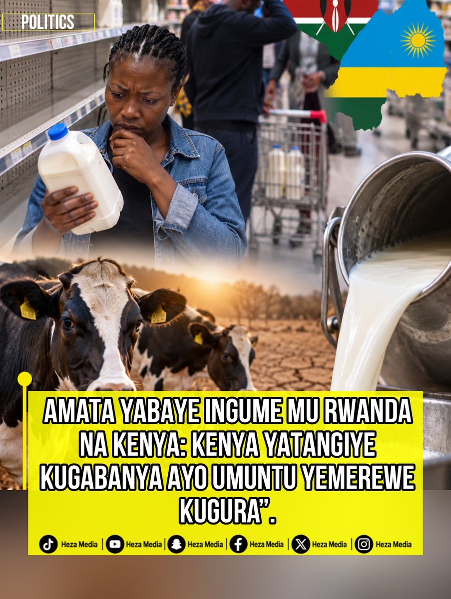 hezamedia's tweet photo. Ikibazo cy’amata muri Kenya no mu Rwanda kirakomeye kurusha uko headline yonyine ibigaragaza, kandi amakuru mashya yo ku wa 5 Nzeri 2026 agaragaza ko impamvu nyamukuru ari amapfa, ibura ry’ubwatsi n’ibiryo by’amatungo, hamwe n’izamuka ry’ikiguzi cyo korora. https://t.co/20ShoWF5gd