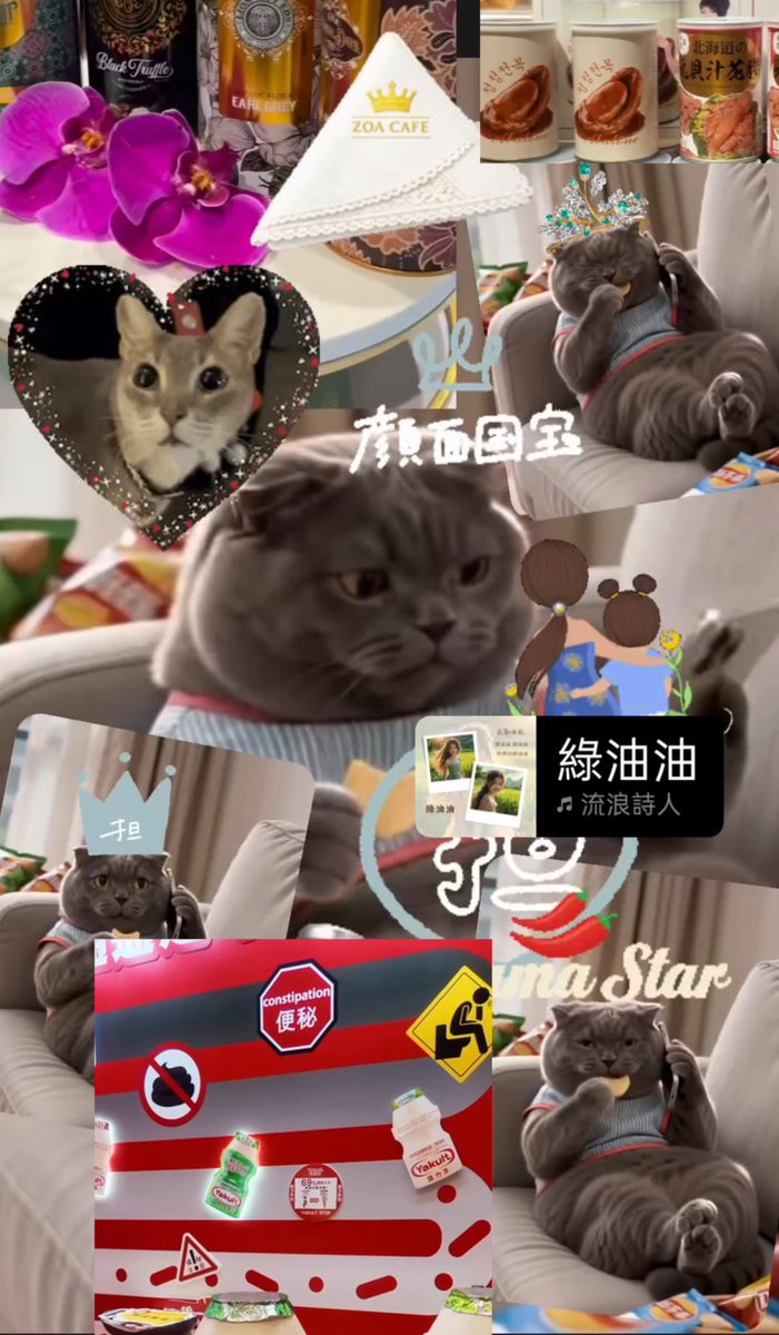 moloneylai's tweet photo. 我女兒跟著我個性就會更做自己 實話說權志龍都不擔心 我女兒的事業沒有需要任何努力的空間 主要是昨天找我要去寄居蟹我斷蘭叫他跟著權志龍 我已經給了他��常有趣的靈魂剩下的不是我的問題 我女兒真的很有趣你叫權志龍認真經營 https://t.co/B0LM83ztdg