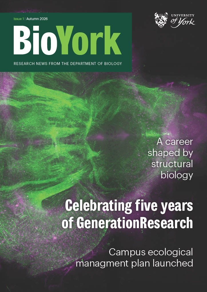 BiologyatYork's tweet photo. Fresh off the press! The first issue of our new magazine BioYork is out now, featuring the latest research news from the department. Read online or pick up a copy at Reception https://t.co/2tvgYxgpsj 
#biologicalsciences #uniofyork #research https://t.co/4QlAlg9ran