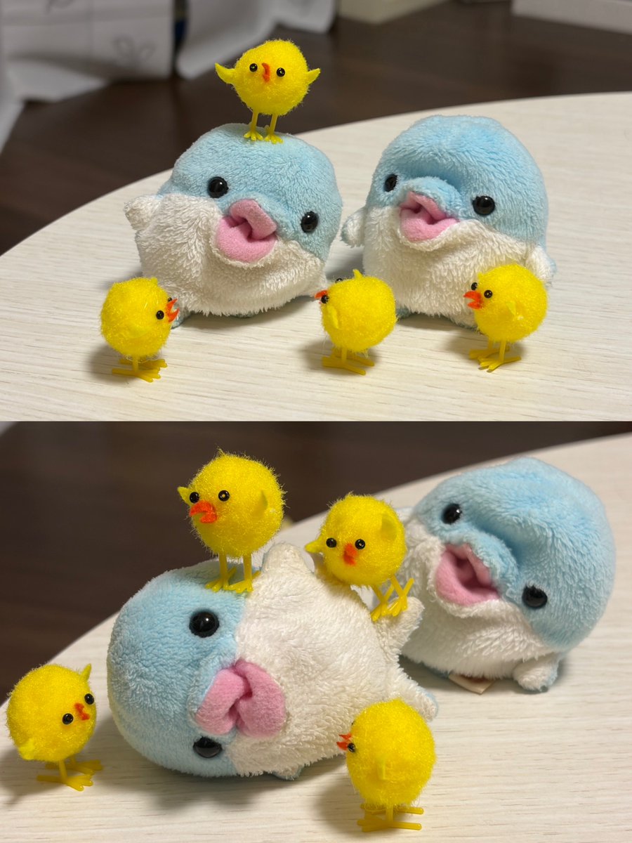 lovelyionchan's tweet photo. 🐥 https://t.co/RfDELmP3GN