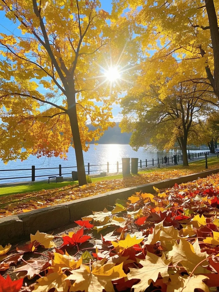 BensonDore30207's tweet photo. Morning dew glistens on autumn leaves, crisp air smells like cinnamon—fall’s perfect first chill hits different!， https://t.co/F2BEIYpl8u