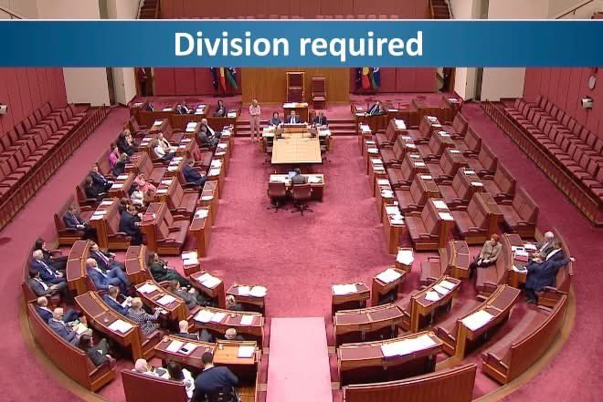 PaulineHansonOz tweet picture