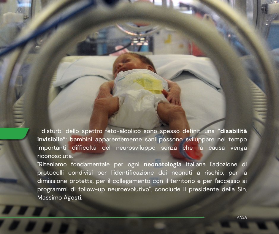 ANSA_Salute's tweet photo. In occasione della Giornata internazionale della sindrome feto-alcolica e dei disturbi correlati, che ricorre il 9 settembre, la @SIN_neonati richiama l'attenzione sul tema ribadendo l'importanza della prevenzione tramite l'astinenza.
#ANSASalute
➡️ https://t.co/szxck1vJSt https://t.co/jRRYZ9dc6P
