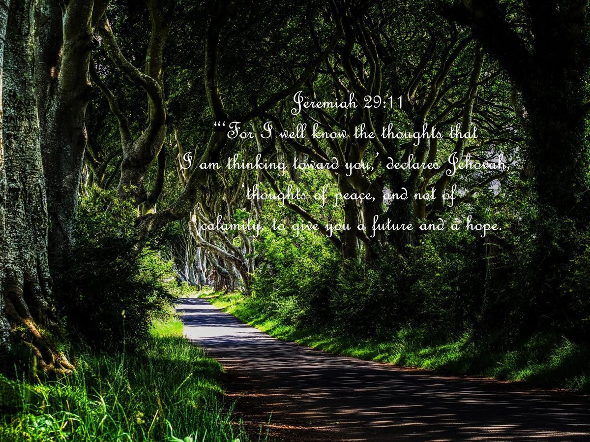 MoonEmberDesign tweet picture