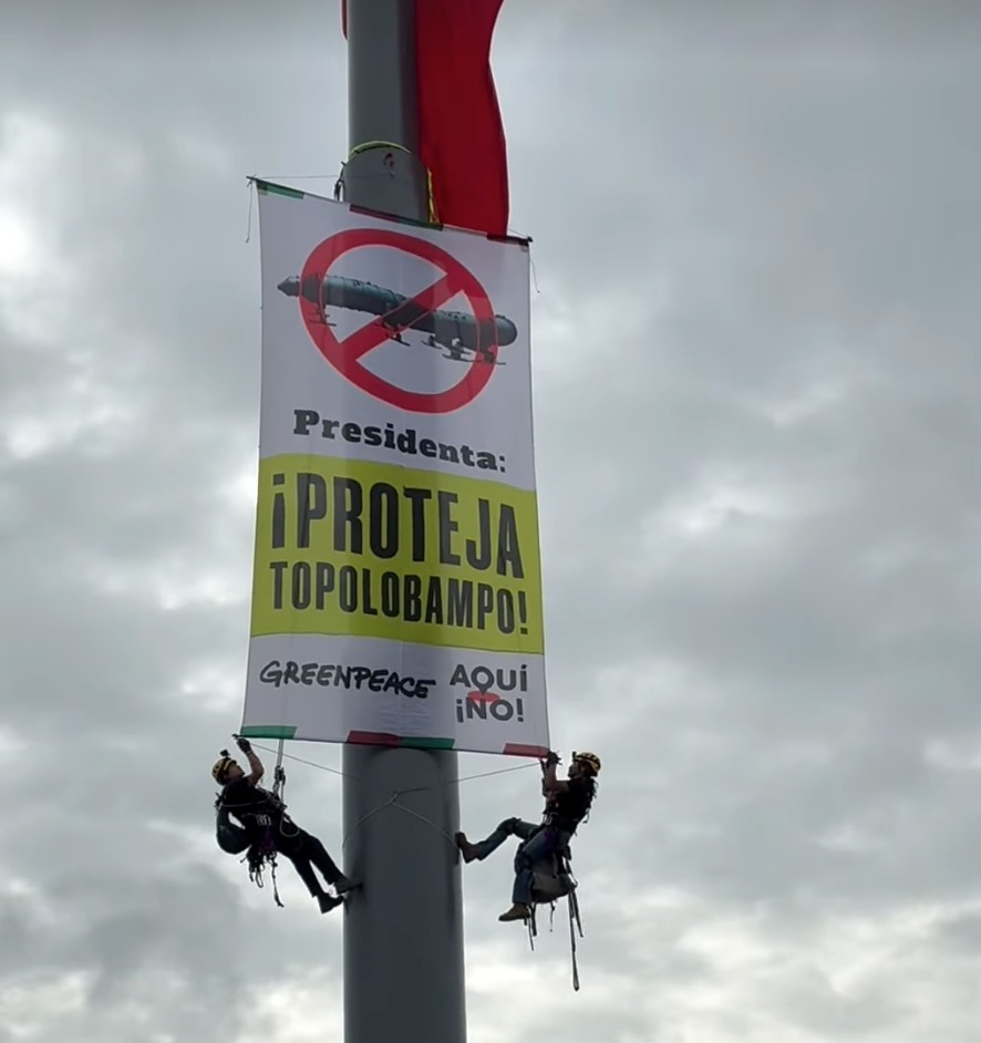 ElFinanciero_Mx's tweet photo. 📢✊ Activistas de Greenpeace escalaron este lunes 7 de septiembre el asta bandera del Zócalo de la #CDMX y desplegaron una manta con el mensaje “Presidenta: Proteja Topolobampo”; aseguraron que la manta es en protesta por el proyecto de instalación de una planta de amoniaco en la bahía de #Sinaloa

https://t.co/UX5GREGfkx

📸 IG greenpeacemx