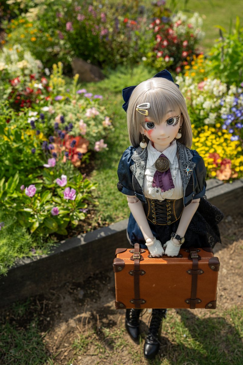 zawastw's tweet photo. 花の小径 https://t.co/BCD0C29nI5
