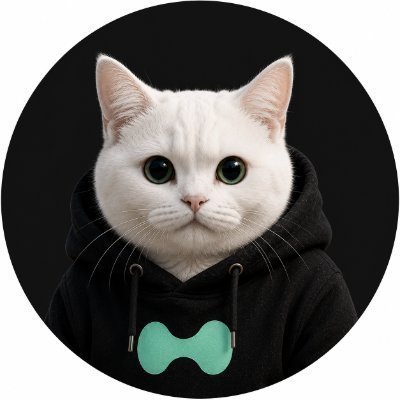 DeFilantropist's tweet photo. $BASECAT building
$CASHCAT cashing
$ZCAT hiding

is it time for $HYPERCAT to start hyping?

@Hypercat_coin 

0xA0E0Ce74D20975b025260109Ff3a27AB96640999 https://t.co/cjb6n7Mr7P