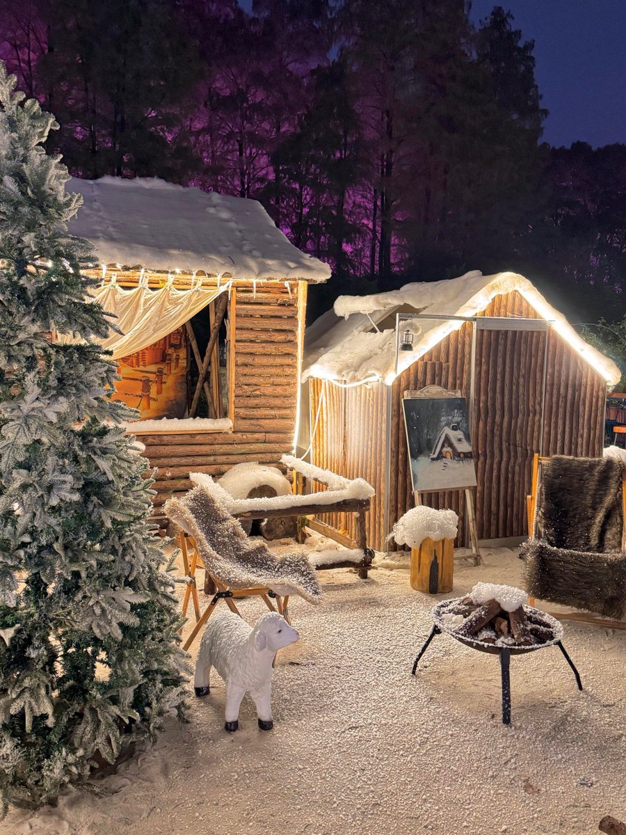 GizemOzbvyj's tweet photo. The first snow of the year just dusted the town—cozy mugs of hot cocoa u0026 twinkling fairy lights make this winter solstice so magical ， https://t.co/j3LSKUteU0