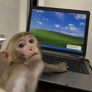 thedevorrr's tweet photo. this is so clean

Hunter Biden is launching a laptop memecoin.

we have an ape fone sitting at 15m mc.

we need to combine both and run it: an ape sitting at a laptop just waiting for the laptop launch on the laptop. https://t.co/81fyjtKP8H