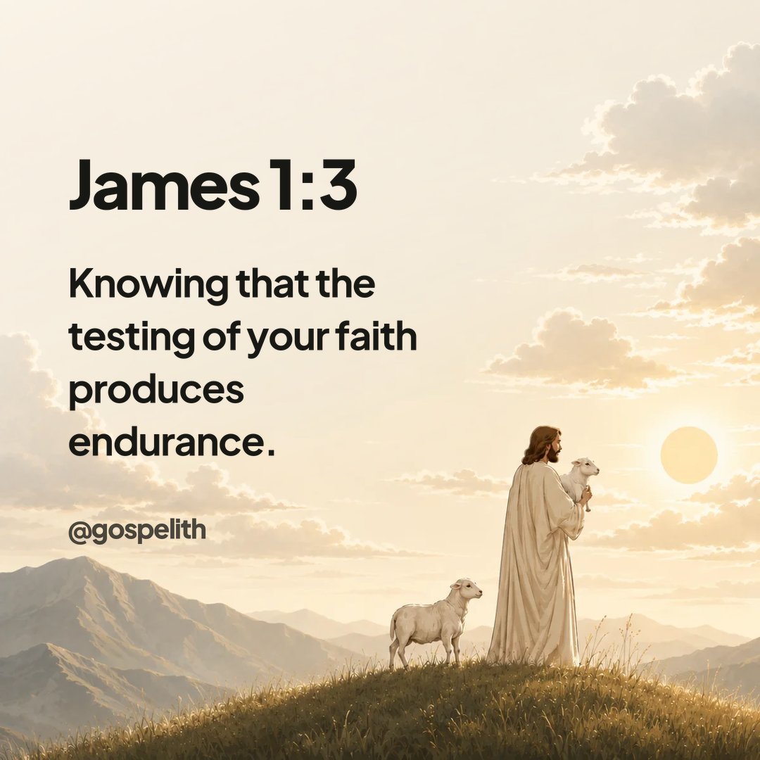 gospelith's tweet photo. James 1:3 🤍 https://t.co/jnyl44PWiV