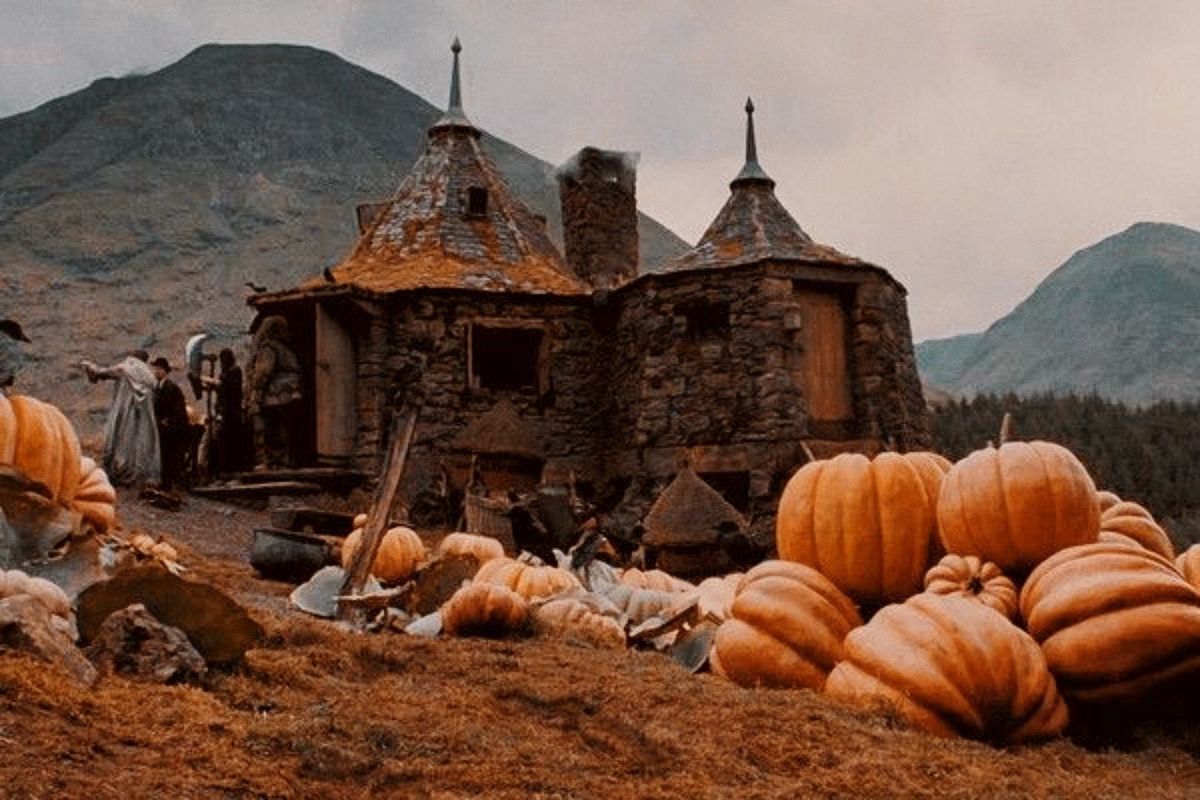 portalpotterbr's tweet photo. Hogwarts in Autumn https://t.co/W6VYMqIJya