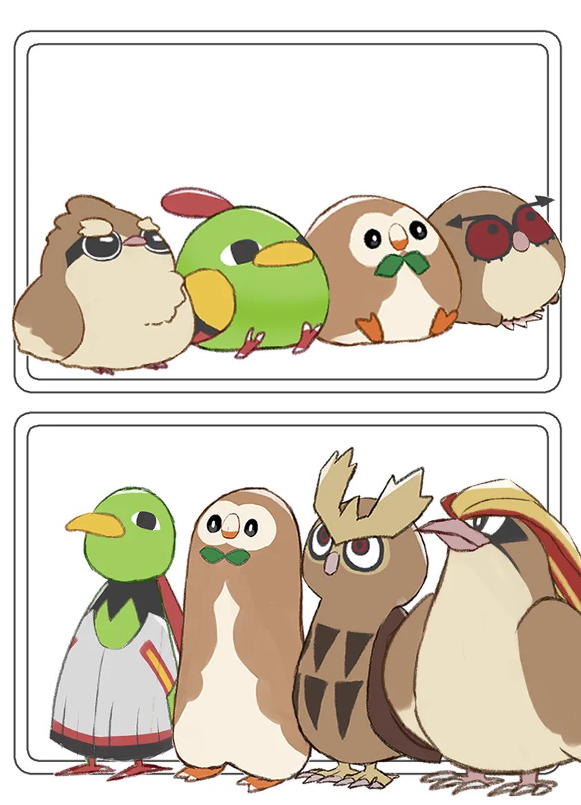 ぬーちゃん⟡.*様確認用 HRn8DaRbIAAUS3L?format=webp&