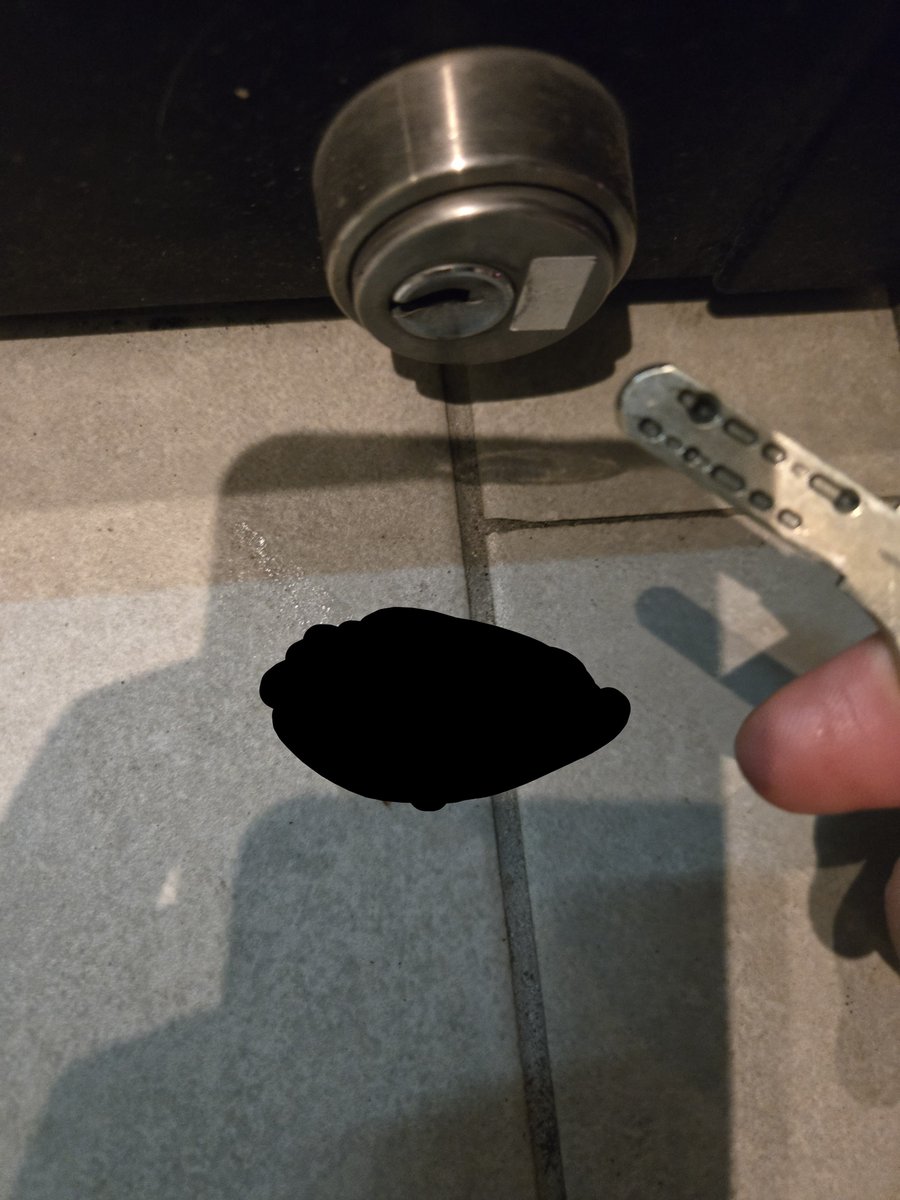Jota_pk's tweet photo. 鍵閉める所にナメクジ君が居座ってて難易度上がってる。

閉めるために手首返すと触れそうな絶妙なポジション。

※黒塗りで処理してます https://t.co/vYTL8D4Hsb