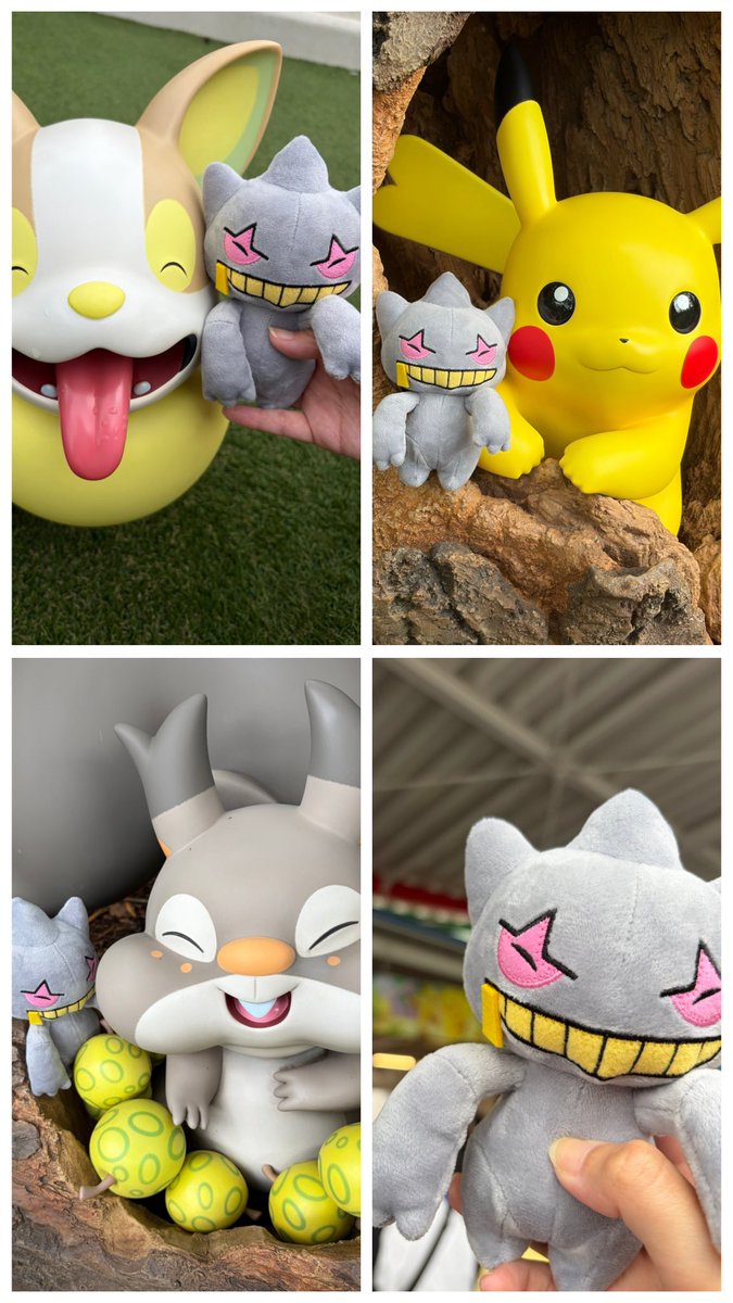 ebi_furyaaa_'s tweet photo. はじめまして🧸𓈒𓏸◌

#ポケモン履歴書
#ポケモン好きさんと繋がりたい
#ポケモン好きと繋がりたい https://t.co/WYqn69iHrY
