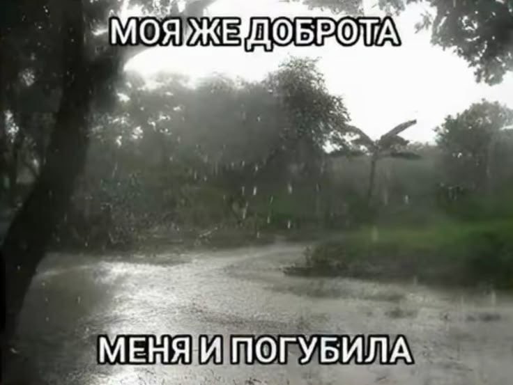 PanfilNika's tweet photo. Я поделилась едой с одноклассниками и сама осталась без https://t.co/WIs91X0L3b