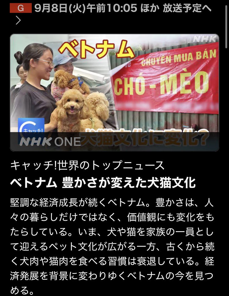 RayShibusawaVN's tweet photo. NHK
キャッチ!世界のトップニュース
ベトナム 豊かさが変えた犬猫文化

これは気になる https://t.co/hnyUKM6guJ