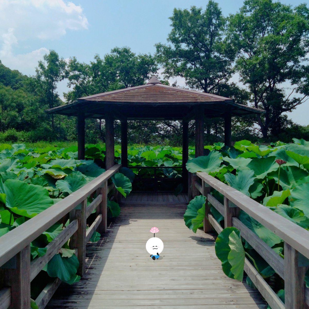 natagurt10's tweet photo. 「ハスロードを歩いてくる人」

#写真にお絵描き #お絵描き #する人 https://t.co/Q76ULabse7