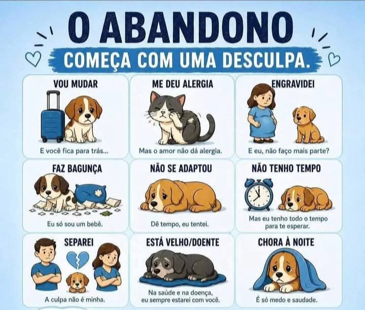 rpl04041984's tweet photo. Não existe desculpa para abandonar quem confiou em você. Antes de colocar um animal dentro de casa, pense na responsabilidade que está assumindo. Ele não é brinquedo, não é objeto e não pode ser descartado quando a situação fica difícil. #LaCasaDeLosFamososMéxico #furry https://t.co/0Vk9A86RMx