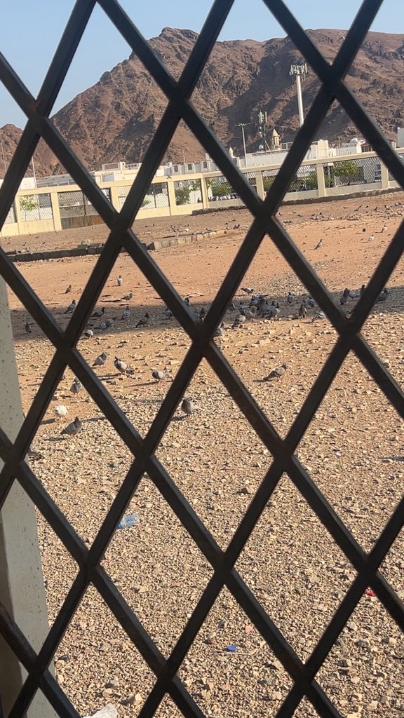 Sirdeekjeebo's tweet photo. This is the Shuahdah uhud: where the martyrs of uhud are laid to rest. May their soul rest in peace. https://t.co/Kl25QkoNON