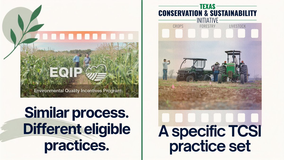 TxCSInitiative's tweet photo. Familiar with EQIP? TCSI may feel similar in how it works, but it focuses on a different set of eligible practices. The right fit depends on your operation. Talk with a regional TCSI ambassador to explore your options.

Call: 979-314-8095
Visit: https://t.co/wZK9sqD4jK
 #TCSI https://t.co/OgxosNdhDs