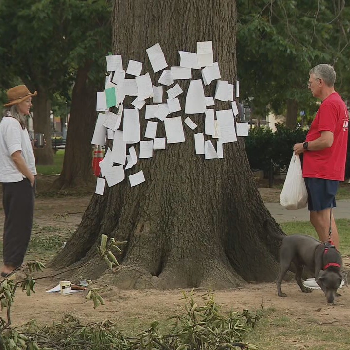 7NewsDC's tweet photo. A fallen tree in Dupont Circle has become an unexpected memorial after a recent storm. 🌳💔 7News found dozens of heartfelt messages left on the tree by local residents.

MORE: https://t.co/IXBhF3aWWG https://t.co/GBDUqLXONI