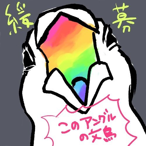 okigirl25's tweet photo. 【緩募】このアングルのドアップ文鳥さんのお写真をお持ちの方、参考に見せていただきたいです…目やくちばしがどんなふうに見えるのか知りたくて。
(文鳥飼いさんなら全員持ってると思い込んでいる) https://t.co/DbgLyUxoFT