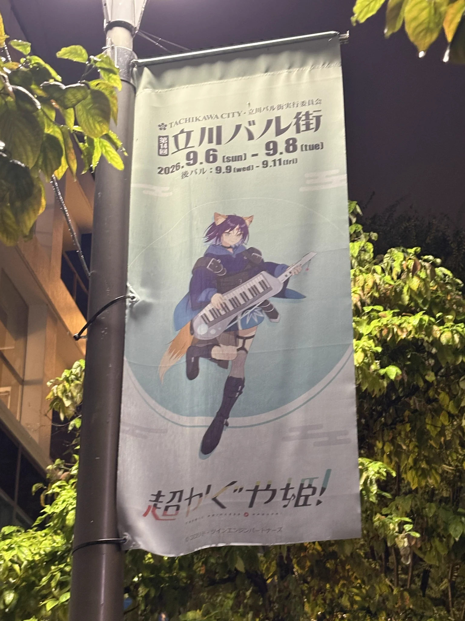白猫ちゃん on X / X
