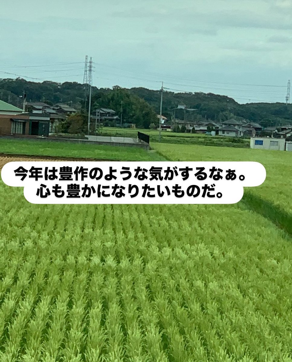 chicconocco's tweet photo. 今年は豊作でしょ！！ https://t.co/VyeV0y3mr9