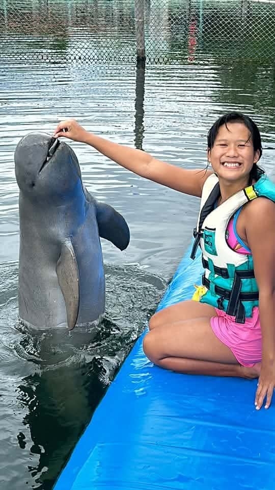 ZZonlyZ's tweet photo. แนะนำคนไทยท่องเที่ยวเชิงอนุรักษ์กัน📢

#OasisSeaWorld อ.แหลมสิงห์ จ.จันทบุรี

🐬🫧 การแสดงโชว์โลมาไทย 
📌 เปิดให้บริการทุกวัน 09:00-18:00 น.

บัตรผ่านประตู (รวมชมโชว์)
👩🏻ผู้ใหญ่ 130.- 
👧🏻เด็ก 80.- (สูง 90 - 140 ซม.)
เด็กความสูงต่ำกว่า 90 ซม. เข้าฟรีค่ะ

ขออนุญาตรูปจากFBโอเอซีส https://t.co/gSU7dTK9YS