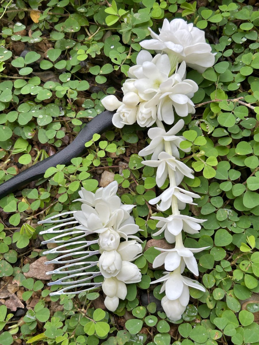 channangsue's tweet photo. 🌱แจกปิ่นมะลิ🌱

สวัสดีค่ะ 🙏ห่างหายจากการแจกของไปสักพักเลยค่ะ  

• กติกา •
รีโพสต์โพสต์นี้

ผู้โชคดี 1 ท่าน
จะได้รับ “ปิ่นมะลิ” จากทางร้านค่ะ🤍

➰ประกาศผลวันที่ 10 ก.ย. 2569

ขอให้โชคดีนะคะ🤍
ขอบคุณที่ติดตามและสนับสนุนกันเสมอค่ะ 🤍 https://t.co/6c5tIJCV1v
