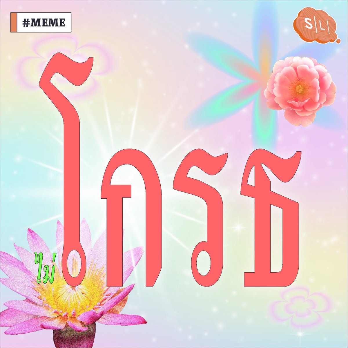 onsalmonlab's tweet photo. อะ https://t.co/QZjr9YsRGa