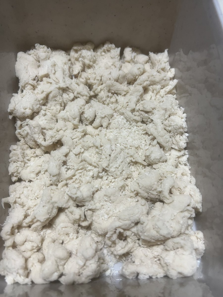 shiro728's tweet photo. カプート社ヌーヴォラ粉を使いビガ法にてピッツァ生地作り🍕
この生地はスパイラルミキサー無しだと難しいです。
ヌーヴォラ粉は吸水性が良く高プロテインでグルテンの網目が強いのが特徴。
ビガ法の様な超長時間発酵に向いてるそうです。
#おうちピッツァ
#おうちごはん
#やまやニキ
#ヌーヴォラ粉 https://t.co/DE9SrTpzJS
