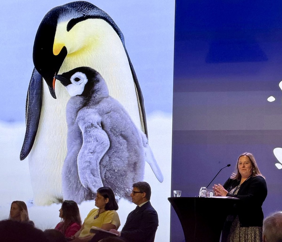 Ensuring the best available knowledge guides decisions on #Antarctica @AntarcticaSouth