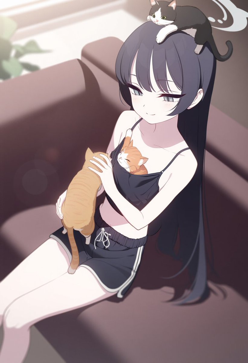 hdodo_'s tweet photo. 🦋🐱🐈 https://t.co/GU525WE4ne