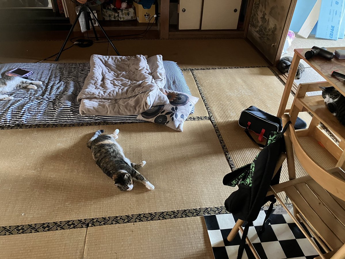shokopenworks's tweet photo. めっちゃあちこち猫がいた

#にゃんこ
#猫を探せ
#計4にゃん
#大家族 https://t.co/r4rRcgUH10