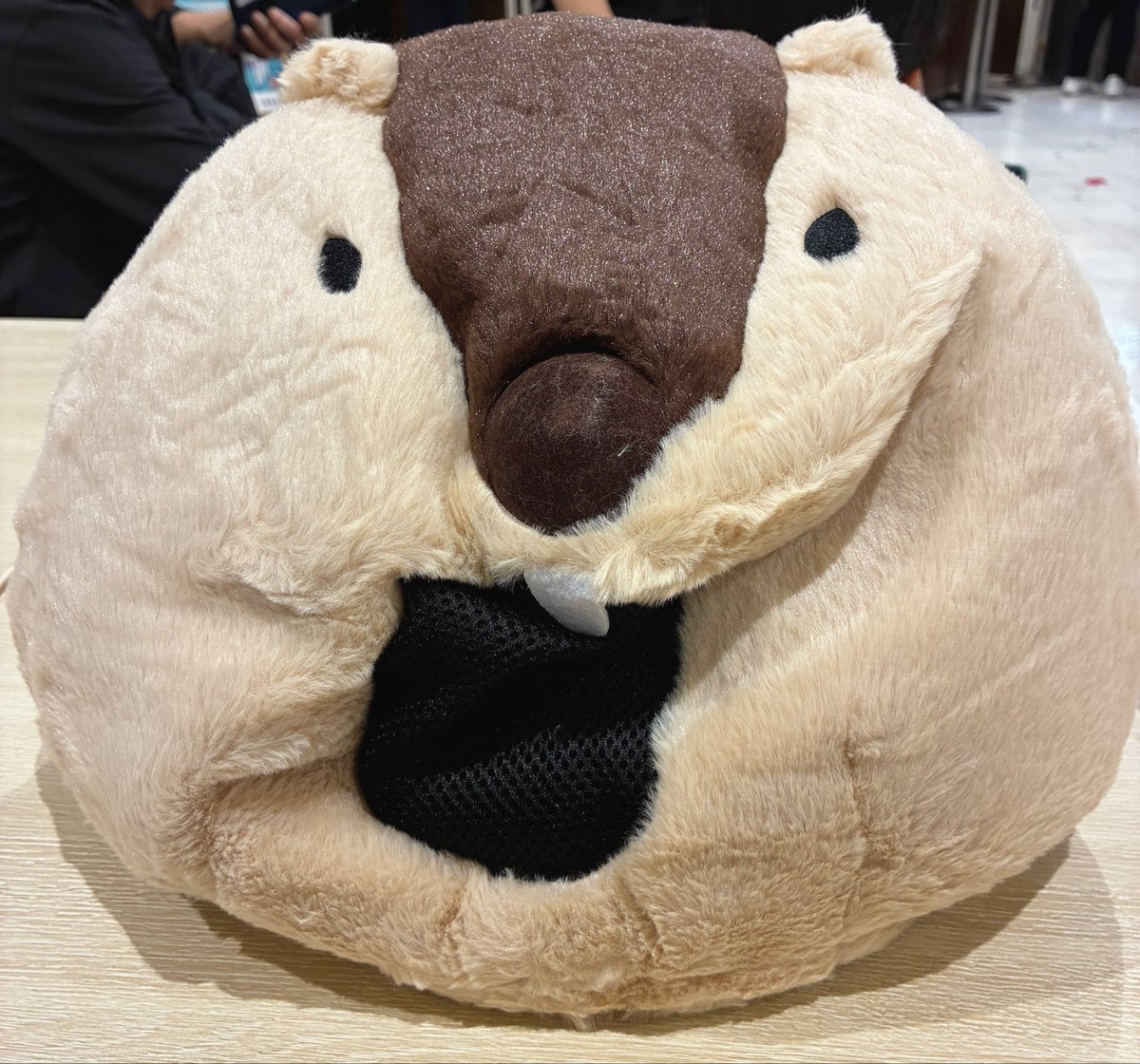 hak_uxx32076's tweet photo. 21時30分からお友達とTiktokでコラボする事になったよー！
とうとうマーモットの出番かしら?! https://t.co/au9i2wvW8G