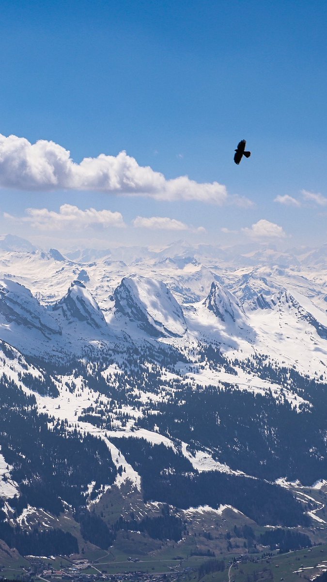 merakime's tweet photo. Swipe Switzerland 
• • • • https://t.co/zUWVhFV3WZ