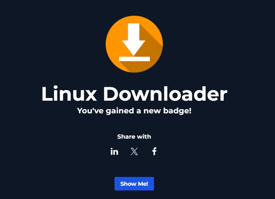 0xAshvin's tweet photo. A 9 KB ELF with a simple job: connect, download, XOR, execute.

Reverse-engineered a Linux downloader in Let’sDefend using DIE + Ghidra. Found the C2 IP, syscall, XOR key, execution flow, and a suspicious [kworker/0:2] disguise.

Tiny binary. Big problem.

https://t.co/tTzHOZsczD https://t.co/LQJ3UNTLZg