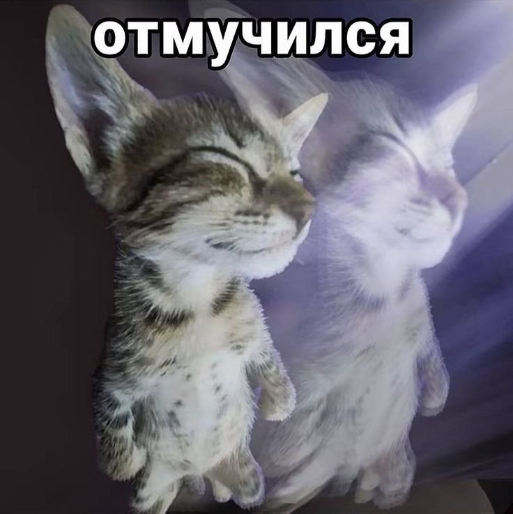 vikamogg's tweet photo. ч домааа https://t.co/da3QqGMuOW