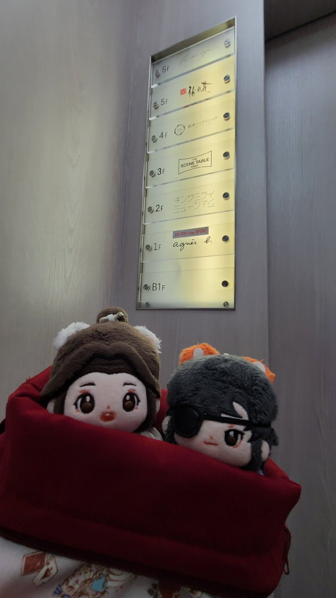 hanashiro_mami's tweet photo. ちょっと早く着いたからエレベーターで3階へ
��るくて解放的なフロアに物販コーナーとカフェ、その間の通路は御手洗いに行ける https://t.co/iADedcs0nb